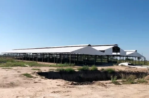 Galpones para estabulado bajo techo (cama de compost/cama fría/free stall)