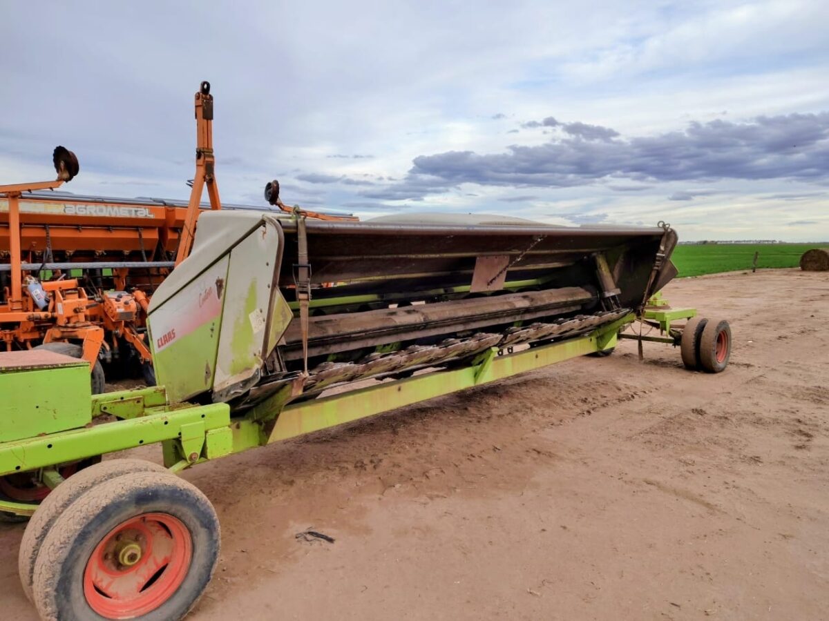 Cabezal Claas direct disc 520 de corte directo. Año 2010