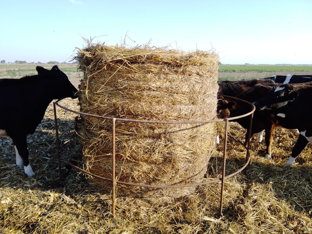 Aros porta rollos de 2.40m. de diámetro