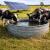 Bombeo solar para ganado Ary energía