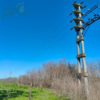 Servicios de pulverización para mantenimiento de líneas eléctricas