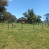 Corral para caballos + Tranquera reforzada