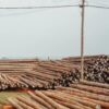 Postes de eucalipto para tendido de cableados aéreos