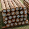 Rodrigones de eucalipto de 2,5 a 3mts.